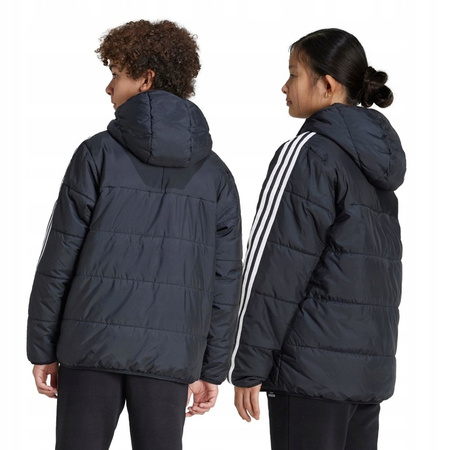 Kurtka dziecięca zimowa adidas IY7497 PADDED JACKET