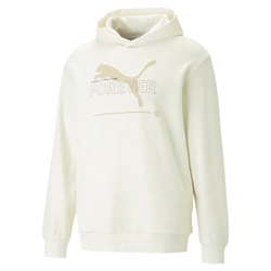 Bluza z kapturem Męska Puma Essentials Men's Hoodie 67329399