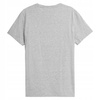 Koszulka T-shirt męski 4F H4L22 TSM352 szary