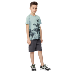 Koszulka T-shirt chłopięcy 4F HJL22 JTSM013 niebieska