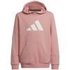 Bluza dziewczęca z kapturem adidas HE1923
