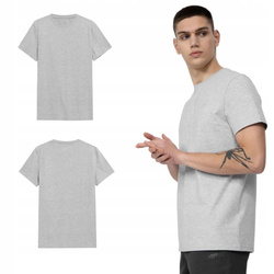 Koszulka T-shirt męski 4F H4L22 TSM352 szary