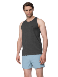 Koszulka T-shirt Męski 4F H4L22 TSM351 szary