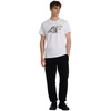 Koszulka męska t-shirt 4FWAW25TTSHM3132 biała