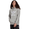 Bluza Męska z kapturem adidas Adicolor Classics Trefoil H06669