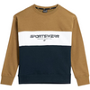 Bluza chłopięca bez kaptura 4F JAW23TSWSM630 złota