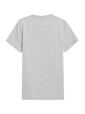 Koszulka T-shirt Męski 4F 4FSS23 TTSHM537 jasny szary