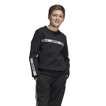 Bluza Dziecięca Klasyczna bez kaptura adidas FK4820