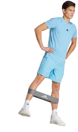 Spodenki szorty męskie Training Shorts IR9248