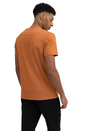 Koszulka Męska 4F brązowy 4FSS23-TTSHM364