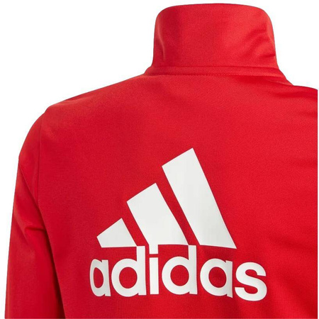 Dres dziecięcy adidas Essentials Big Logo Track Suit IJ6305