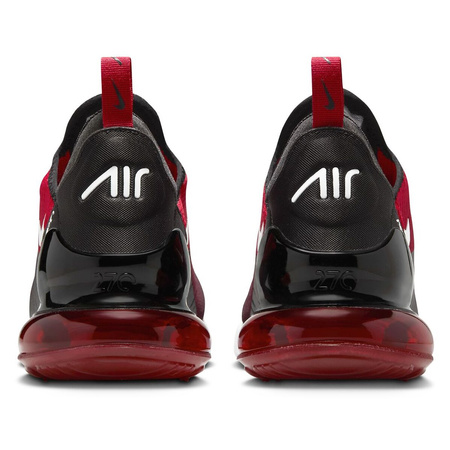 Buty Męskie Nike Air Max 270 AH8050 602