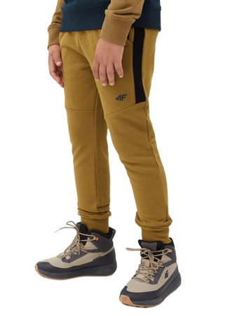 Spodnie Dresowe joggery Dziecięce 4F JAW23 TTROM414 złoty