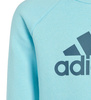 Dres dziecięcy Komplet adidas Badge of Sport IJ6377