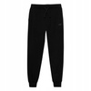 Spodnie dresowe chłopięce joggery czarny 4F JWSS24 TTROM591