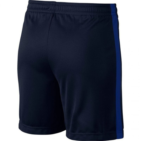 Krótkie Spodenki Chłopięce na wf Nike Dry Academy 832901-459