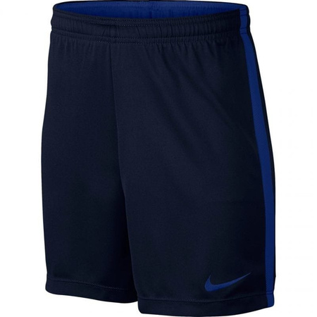 Krótkie Spodenki Chłopięce na wf Nike Dry Academy 832901-459