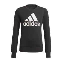 Bluza Dziecięca adidas Essentials GP0040
