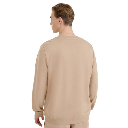 Męska bluza dresowa nierozpinana bez kaptura 4FWSS25TSWSM1622 beż