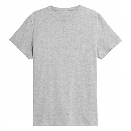 Koszulka T-shirt męski 4F H4L22 TSM352 szary
