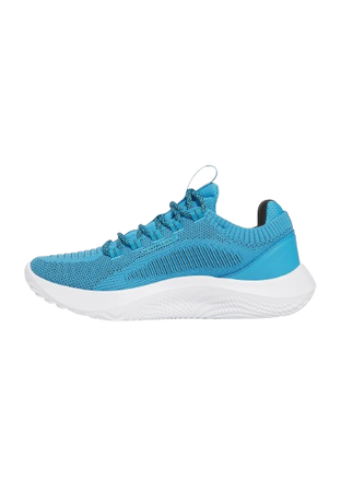 Męskie buty treningowe Under Armour UA W Dynamic 2 3028076-452