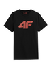 Koszulka T-shirt Męski 4F 4FSS23 TTSHM537 czarny