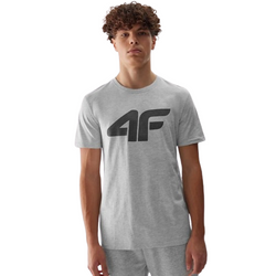 Koszulka męska 4F WSS24TTSHM1155 szara