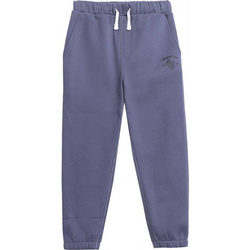 Spodnie Dresowe Chłopięce 4F denim 4FJAW23TTROM419