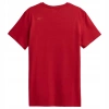 Koszulka T-shirt męski 4F H4L22 TSM352 czerwony