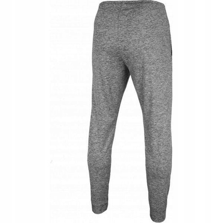 Spodnie Męskie Dresowe Ocieplane 4F NOSH4-SPMTR001 SZARY
