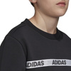 Bluza Dziecięca Klasyczna bez kaptura adidas FK4820