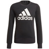 Bluza Dziecięca adidas Essentials GP0040