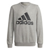 Bluza Dziecięca klasyczna adidas Essentials GS4273