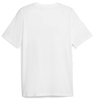 Koszulka T-shirt Męski Puma 67718602