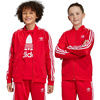 Bluza Dziecięca rozpinana adidas SST Track IC3058
