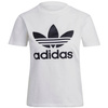 Koszulka Damska T-shirt adidas Adicolor Classic Trefoil GN2899