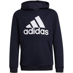 Bluza Dziecięca z kapturem adidas Essentials GS4271
