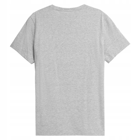 Koszulka T-shirt męski 4F H4L22 TSM352 szary