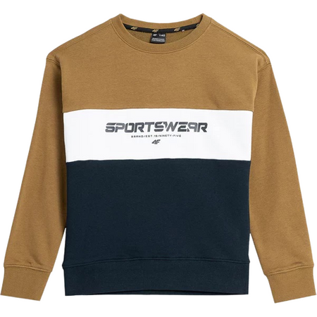 Bluza chłopięca bez kaptura 4F JAW23TSWSM630 złota