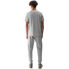 Spodnie dresowe męskie 4F WSS24TTROM603 jasny szary