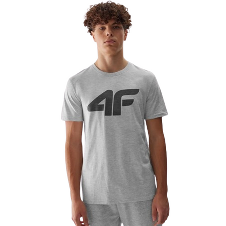 Koszulka męska 4F WSS24TTSHM1155 szara