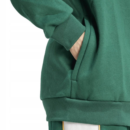 Bluza męska adidas z kapturem IS5734