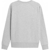 Bluza dresowa 4F szary 4FSS23-TSWSF370