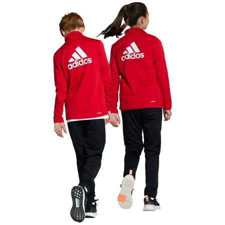 Dres dziecięcy adidas Essentials Big Logo Track Suit IJ6305