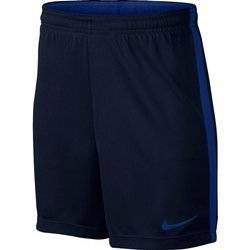 Krótkie Spodenki Chłopięce na wf Nike Dry Academy 832901-459