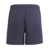 Dziecięce Krótkie spodenki do pływania adidas 3-Stripes Swim HA9406