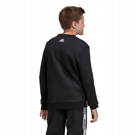 Bluza Dziecięca Klasyczna bez kaptura adidas FK4820