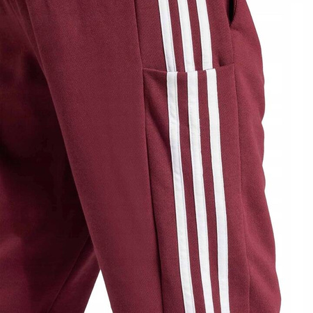 Spodnie męskie dresowe Adidas IS1366 bordowe