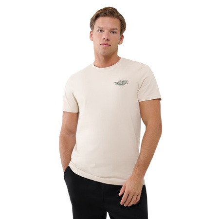 Koszulka męska t-shirt 4F 4FWSS25TTSHM1974 kremowy
