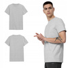 Koszulka T-shirt męski 4F H4L22 TSM352 szary